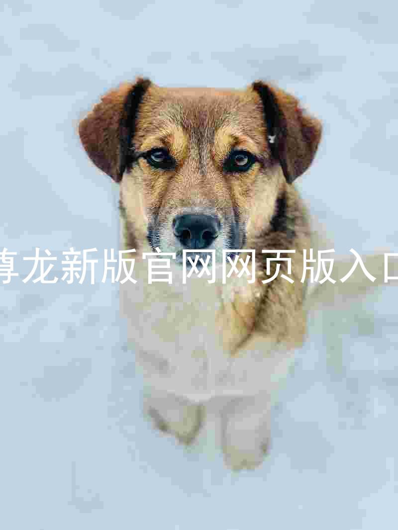 尊龙新版官网网页版入口